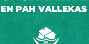PAH Vallekas
