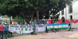 Campesinos en Honduras protestan contra las últimas medidas del gobierno