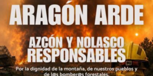 Manifestación "Aragón arde"