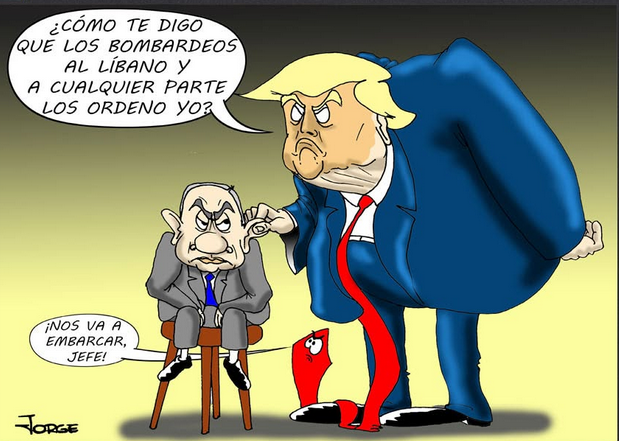 Bibi, el insubordinado