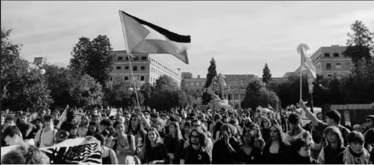 Movilización propalestina en la universidad