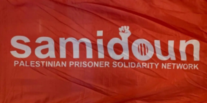 Comunicado de la red de solidaridad con los y las presas palestinas.